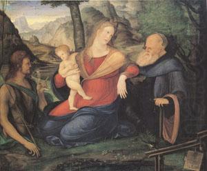 Jacopo de Barbari The Virgin and child Between John the Baptist and Anthony Abbot (mk05) china oil painting image